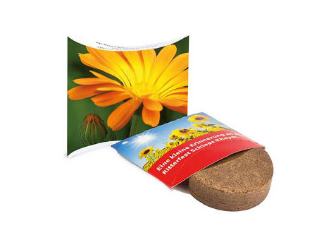 Plant-Tab mit Samen - Basilikum