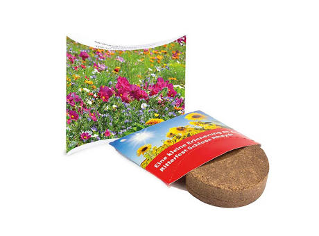 Plant-Tab mit Samen - Basilikum