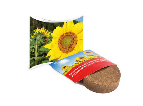 Plant-Tab mit Samen - Basilikum