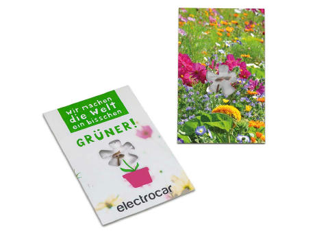 Samen-Karte-Mini Blume - Basilikum