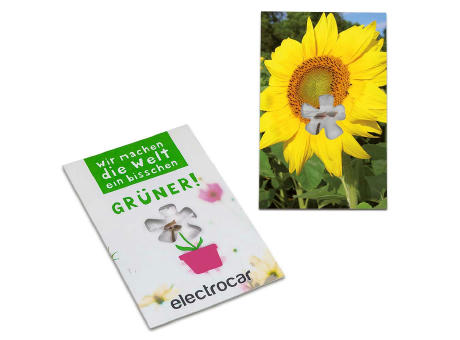 Samen-Karte-Mini Blume - Basilikum