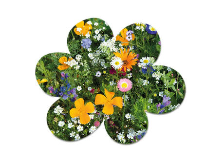 Samenpapier in Klappkärtchen - Blümchen
