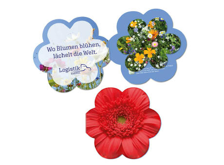 Samenpapier in Klappkärtchen Blume - Bienchen