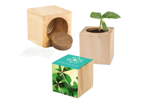 Pflanz-Holz Maxi mit Samen - Basilikum