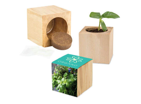Pflanz-Holz Maxi mit Samen - Basilikum