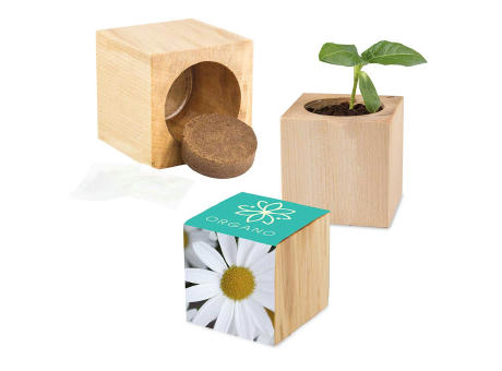 Pflanz-Holz Maxi mit Samen - Basilikum