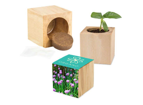 Pflanz-Holz Maxi mit Samen - Petersilie
