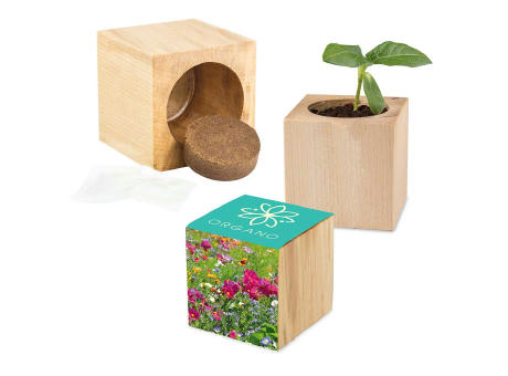 Pflanz-Holz Maxi mit Samen - Basilikum