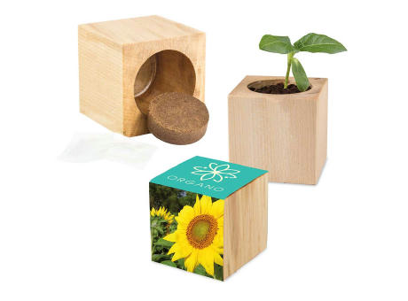 Pflanz-Holz Maxi mit Samen - Basilikum