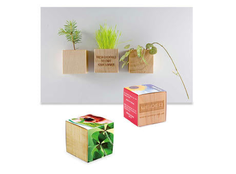 Pflanz-Holz Magnet mit Samen - Basilikum