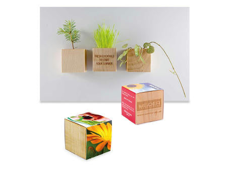 Pflanz-Holz Magnet mit Samen - Basilikum