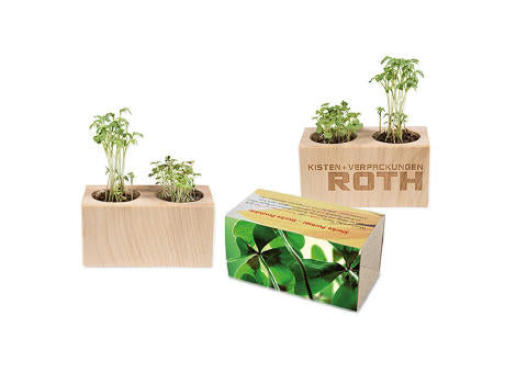 Pflanz-Holz 2er Set mit Samen - Basilikum