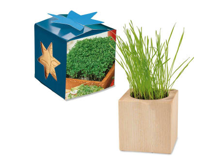 Pflanz-Holz Maxi Star-Box mit Samen - Basilikum