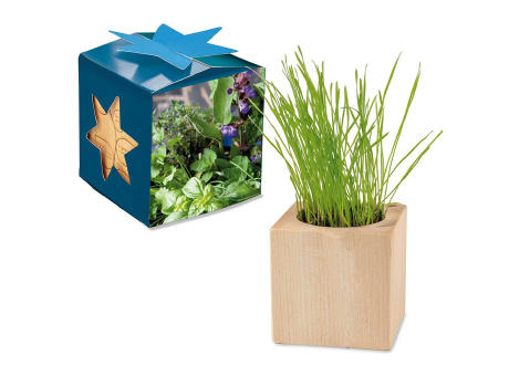 Pflanz-Holz Maxi Star-Box mit Samen - Basilikum