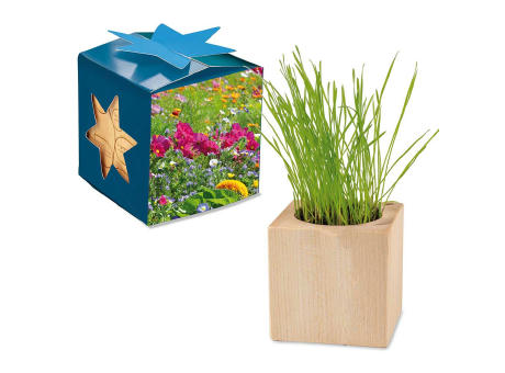 Pflanz-Holz Maxi Star-Box mit Samen - Basilikum