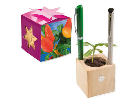 Pflanz-Holz Büro Star-Box mit Samen - Basilikum