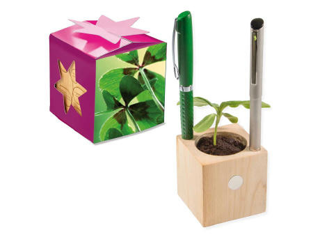 Pflanz-Holz Büro Star-Box mit Samen - Basilikum