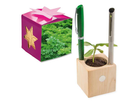 Pflanz-Holz Büro Star-Box mit Samen - Basilikum