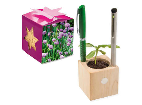 Pflanz-Holz Büro Star-Box mit Samen - Basilikum