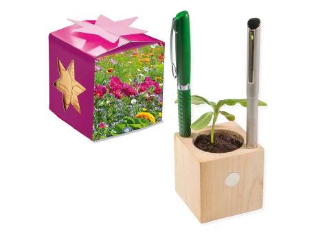 Pflanz-Holz Büro Star-Box mit Samen - Basilikum