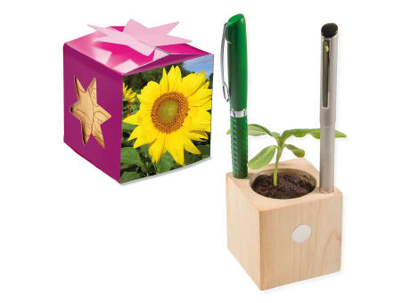 Pflanz-Holz Büro Star-Box mit Samen - Basilikum