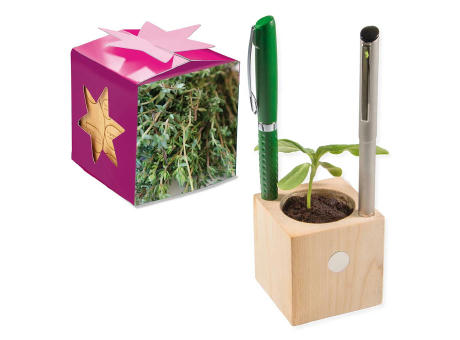 Pflanz-Holz Büro Star-Box mit Samen - Basilikum