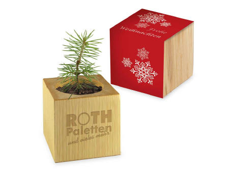 Pflanz-Holz - Standardmotiv - Frohe Weihnachten - ohne Lasergravur