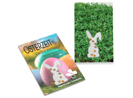 Samen-Karte-Mini Ostern - Basilikum