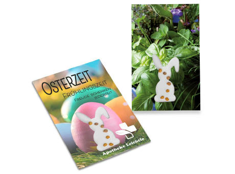 Samen-Karte-Mini Ostern - Basilikum