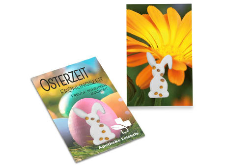 Samen-Karte-Mini Ostern - Basilikum