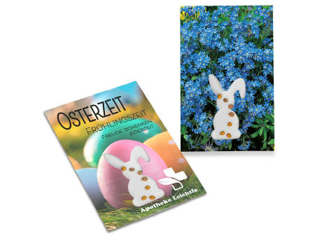 Samen-Karte-Mini Ostern - Basilikum