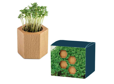 Pflanz-Holz Hexagon mit Samen - Basilikum