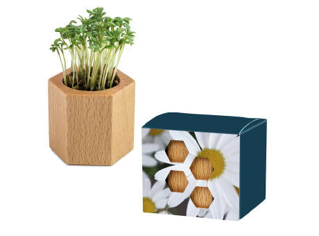 Pflanz-Holz Hexagon mit Samen - Basilikum