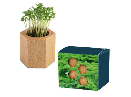 Pflanz-Holz Hexagon mit Samen - Basilikum