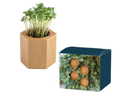 Pflanz-Holz Hexagon mit Samen - Basilikum