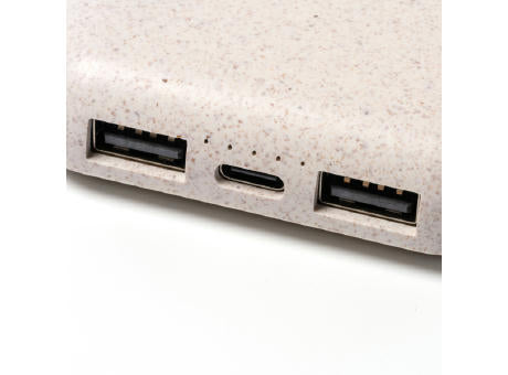 EXTERNE BATTERIE BLASTER S/EINHEITSGRÖSSE GREIGE