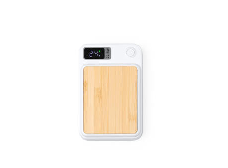 EXTERNE BATTERIE GUNDER S/EINHEITSGRÖSSE WHITE