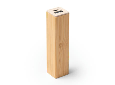 EXTERNE BATTERIE MUNTER S/EINHEITSGRÖSSE GREIGE