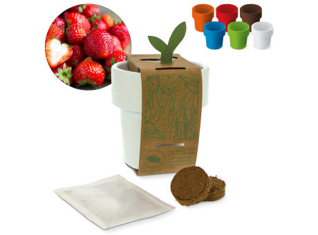 Hot-but-cool Tasse mit Erdbeersamen