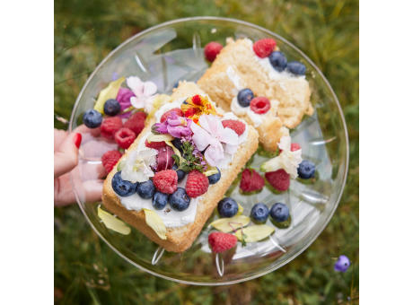 Sagaform Picknick-Tellerchen 4er-Pack