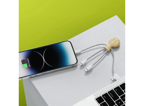 Xoopar Mr. Bio Bamboo Charging Cable