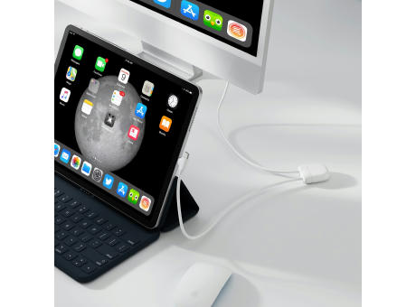 Xoopar Ice-C Charging cable