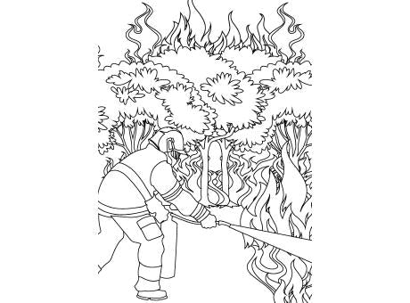 Siggi und die Feuerwehr