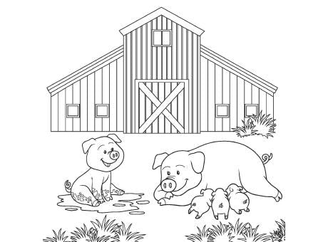 Die bunte Welt der Bauernhoftiere