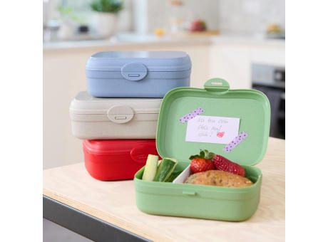 KOZIOL ARENA Lunchbox mit Trennsteg