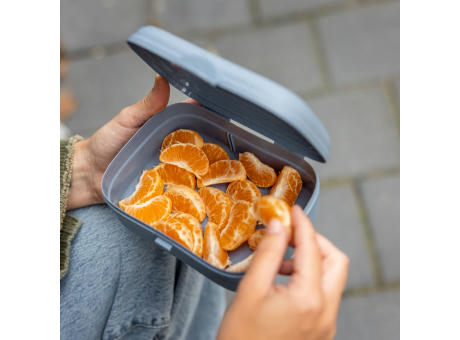 KOZIOL ARENA Lunchbox mit Trennsteg