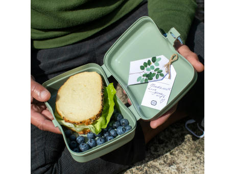KOZIOL BASIC Lunchbox
