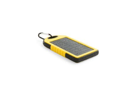 Power Bank Lenard