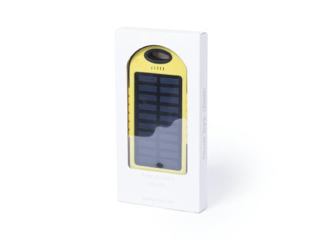 Power Bank Lenard
