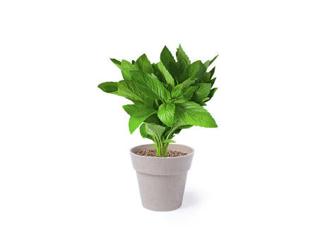 Blumentopf Set Nertel